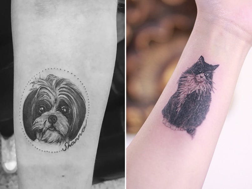 tatuajes-perro-gato-animales